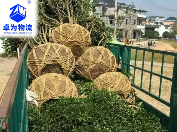 樹苗，樹木運(yùn)輸案例