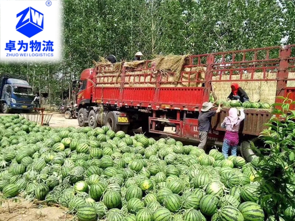 水果蔬菜運(yùn)輸案例